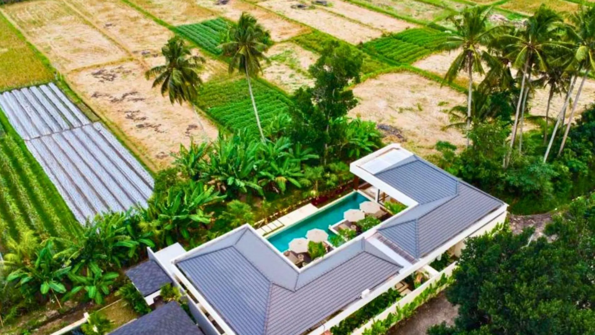 Madaharsa 4 Bedroom Private Pool Villa Zn203 Ubud  0*, Ubud (Bali) Indonesia